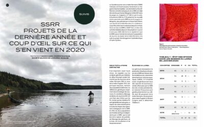 Article magazine Saumon Québec